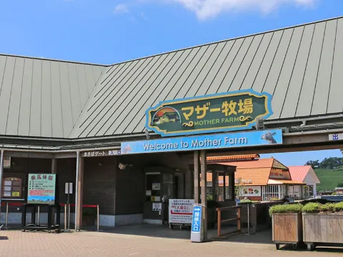 Mother Farm Glamping