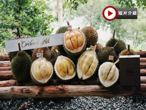 天空之鏡《永安雙獨家~榴槤果園+全新夜景山頂餐廳》【季節限定㊣各種名貴榴槤任食】+吉隆坡【永安獨家全新夜景山頂餐廳Puncak ALOP】+馬六甲河遊船 榴槤任食 5天之旅