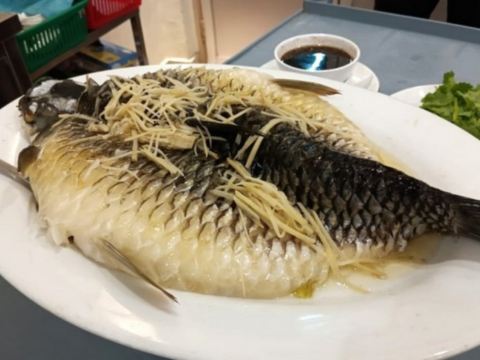 【魚皇】忘不了魚