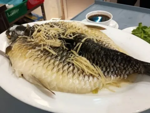 【魚皇】忘不了魚