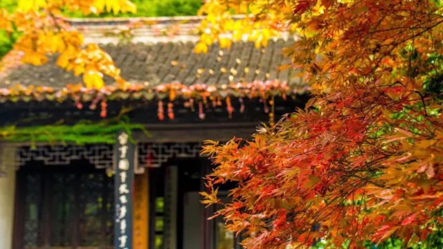 無錫寄暢園紅楓