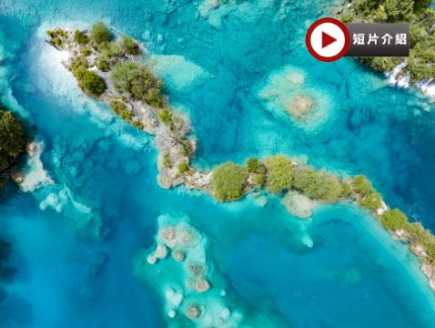 皇牌《童話世界、人間仙境九寨溝》深度8天豪華團※九寨溝、黃龍、峨眉山、樂山大佛遊船、成都大熊貓繁育研究基地、東方佛都、蘇稽古鎮、漫遊成都City Walk 