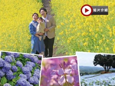 東京迪士尼、河口湖 6天樂園美景之旅   東京迪士尼樂園/迪士尼海洋~全日任玩套票、Mother牧場(欣賞花田美景)