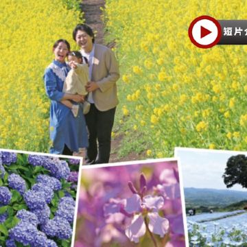 東京迪士尼、河口湖 6天樂園美景之旅   東京迪士尼樂園/迪士尼海洋~全日任玩套票、Mother牧場(欣賞花田美景)