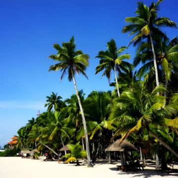 海南島(文昌、海口、海花島)5天美食純玩團  東寨港紅樹林濕地公園(包遊船)、海口灣天空之山、海花島巡遊、馬鞍嶺火山口公園、果園任摘任食、馮小剛電影公社·江城瑤景區、觀看實景演出《南洋往事》