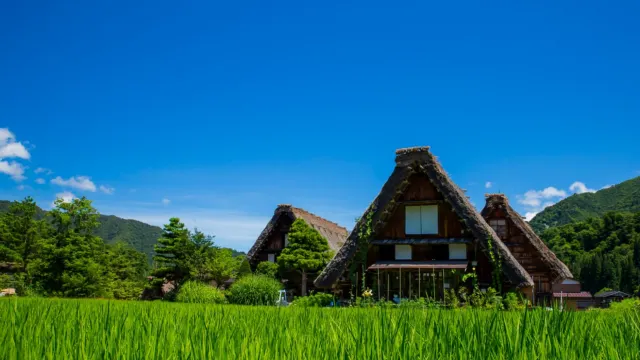 日本 白川鄉 (春天)
