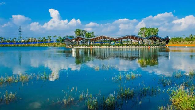 燈都生態濕地公園