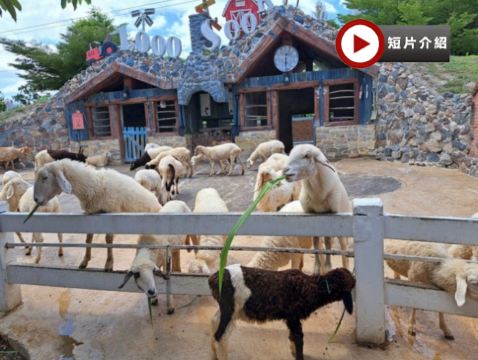 「泰」美麗曼谷、華欣 5天之旅   Pop Mart旗艦店、鄉村風主題農場～1000 Sook、Don Hoi Lot小漁村