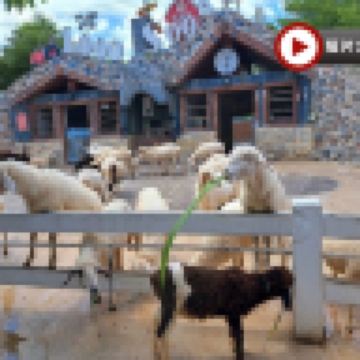 「泰」美麗曼谷、華欣 5天之旅   Pop Mart旗艦店、鄉村風主題農場～1000 Sook、Don Hoi Lot小漁村