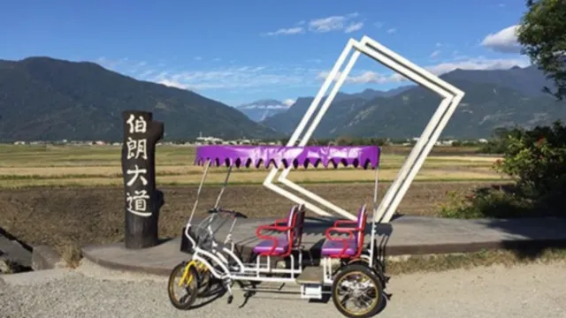 伯朗大道電動四輪單車