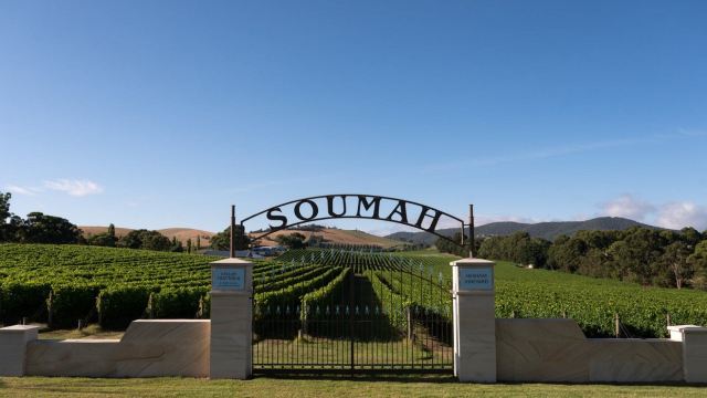 Soumah of Yarra Valley