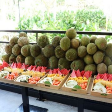 《永安獨家果園》【季節限定㊣榴槤任食】吉隆坡+馬六甲 天空之鏡 榴槤任食 5天之旅【永安獨家】人氣果園~ Orchard Hill【細味品嚐】各種名貴榴槤任食