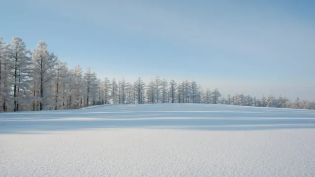 美瑛四季彩之丘冬天