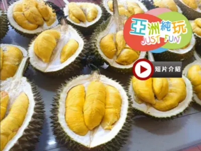 《永安獨家果園》【季節限定㊣榴槤任食】吉隆坡+雪蘭莪+馬六甲純玩美食5天團《連續2晚入住》2025年全新開幕國際品牌Marriott Executive Apartments Kuala Lumpur