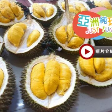 《永安獨家果園》【季節限定㊣榴槤任食】吉隆坡+雪蘭莪+馬六甲純玩美食5天團《連續2晚入住》2025年全新開幕國際品牌Marriott Executive Apartments Kuala Lumpur