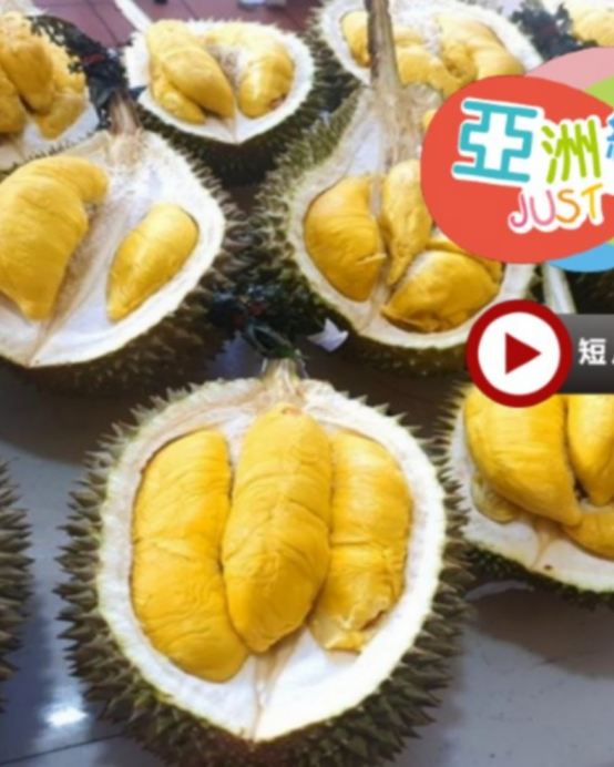 《永安獨家果園》【季節限定㊣榴槤任食】吉隆坡+雪蘭莪+馬六甲純玩美食5天團《連續2晚入住》2025年全新開幕國際品牌Marriott Executive Apartments Kuala Lumpur