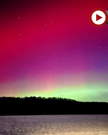 漠河追極光‧呼倫貝爾、滿洲里、哈爾濱東北深度8天純玩之旅   中國北極村漠河、連續2晚追尋北極光、呼倫貝爾大草原(乘吉普車穿越)、額爾古納濕地、大興安嶺森林、敖魯古雅部落親密接觸馴鹿、船遊黑龍江