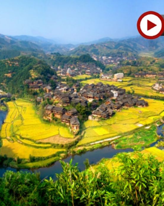 桂林、陽朔、三江 5天升級純玩高鐵團  布尼花海梯田加烏瀑布、如意峰、遇龍河竹筏漂流、仙人山布央茶園、程陽八寨景區、白面瑤寨、三江風雨橋、侗族風情大型表演《坐妹‧三江》、船遊一江四湖、象鼻山