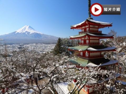 東京、茨城 冬日5天賞景之旅   大洗磯前神社、絕美海上鳥居~神磯之鳥居、「世界三大高佛像」牛久大佛、新倉富士淺間神社