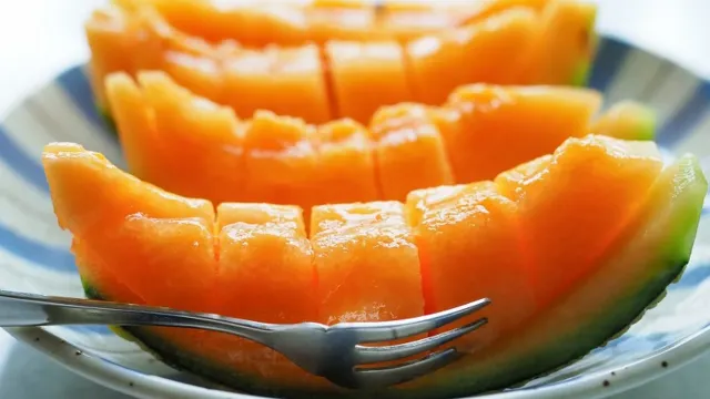 日本_北海道_蜜瓜