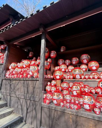 大阪、京都、奈良、和歌山 美景玩樂5天之旅【尊享香港航空貴賓室】全程膳食包足12餐，和式地道美食。「世界文化遺產」金閣寺、八坂神社、祇園花見小路、「世界文化遺產」奈良東大寺、神鹿公園