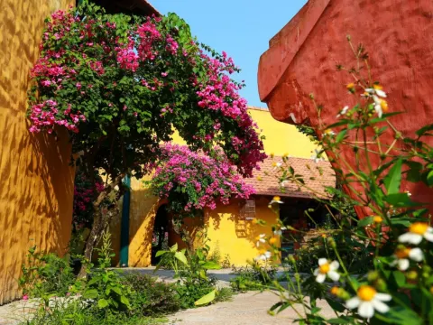 網紅推介_REU越式Fusion菜