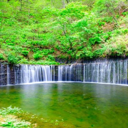 東京、輕井澤、鎌倉 悠閒賞景6天之旅   日立海濱公園浪漫花海、佐原水鄉、白絲瀑布、鬼押出園火山岩奇景、成田山新勝寺、成田山表參道(江戶懷舊街)、一天自由活動、1晚輕井澤溫泉酒店