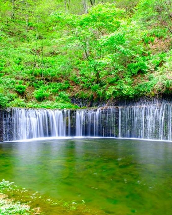 東京、輕井澤、鎌倉 悠閒賞景6天之旅   日立海濱公園浪漫花海、佐原水鄉、白絲瀑布、鬼押出園火山岩奇景、成田山新勝寺、成田山表參道(江戶懷舊街)、一天自由活動、1晚輕井澤溫泉酒店