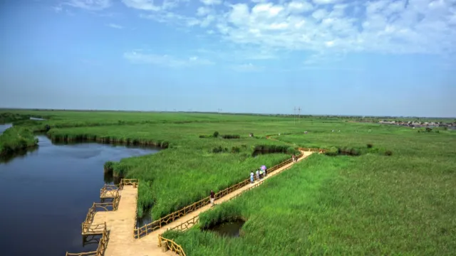 黃河口生態旅游區