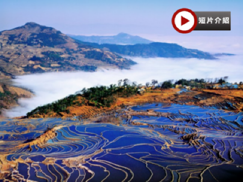 雲南梯田美景、賞花、溫泉8天純玩高鐵團  元陽梯田、多依樹梯田、壩達梯田、金雞嶺萬畝油菜花、圓通山賞海棠+櫻花、建水古城、百年米軌小火車、碧色寨、普者黑、九龍大瀑布、彌勒溫泉
