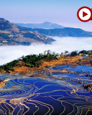 雲南梯田美景、賞花、溫泉8天純玩高鐵團  元陽梯田、多依樹梯田、壩達梯田、金雞嶺萬畝油菜花、圓通山賞海棠+櫻花、建水古城、百年米軌小火車、碧色寨、普者黑、九龍大瀑布、彌勒溫泉