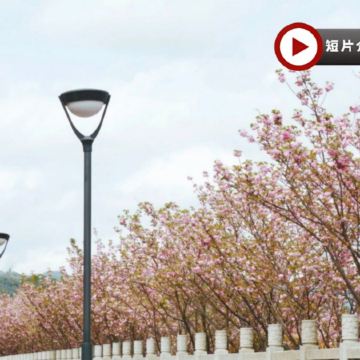 張家界、鳳凰古城、春季賞櫻🌸5天純玩高鐵團  張家界(天門山國家森林公園、天子山、袁家界、百龍電梯、無人機航拍、金鞭溪)、鳳凰古城(沱江泛舟、古城夜遊)、澧水河岸賞櫻《保證廣東話導遊》 