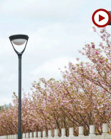 張家界、鳳凰古城、春季賞櫻🌸5天純玩高鐵團  張家界(天門山國家森林公園、天子山、袁家界、百龍電梯、無人機航拍、金鞭溪)、鳳凰古城(沱江泛舟、古城夜遊)、澧水河岸賞櫻《保證廣東話導遊》 