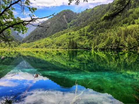 《皇牌‧九寨溝‧黃龍》邂逅童話世界～九寨溝(包景區獨立環保車)、人間瑤池~黃龍、成都大熊貓繁育研究基地(觀賞國寶熊貓)、錦里、寬窄巷子、尊貴提升1晚成都瑞吉酒店6天豪華團