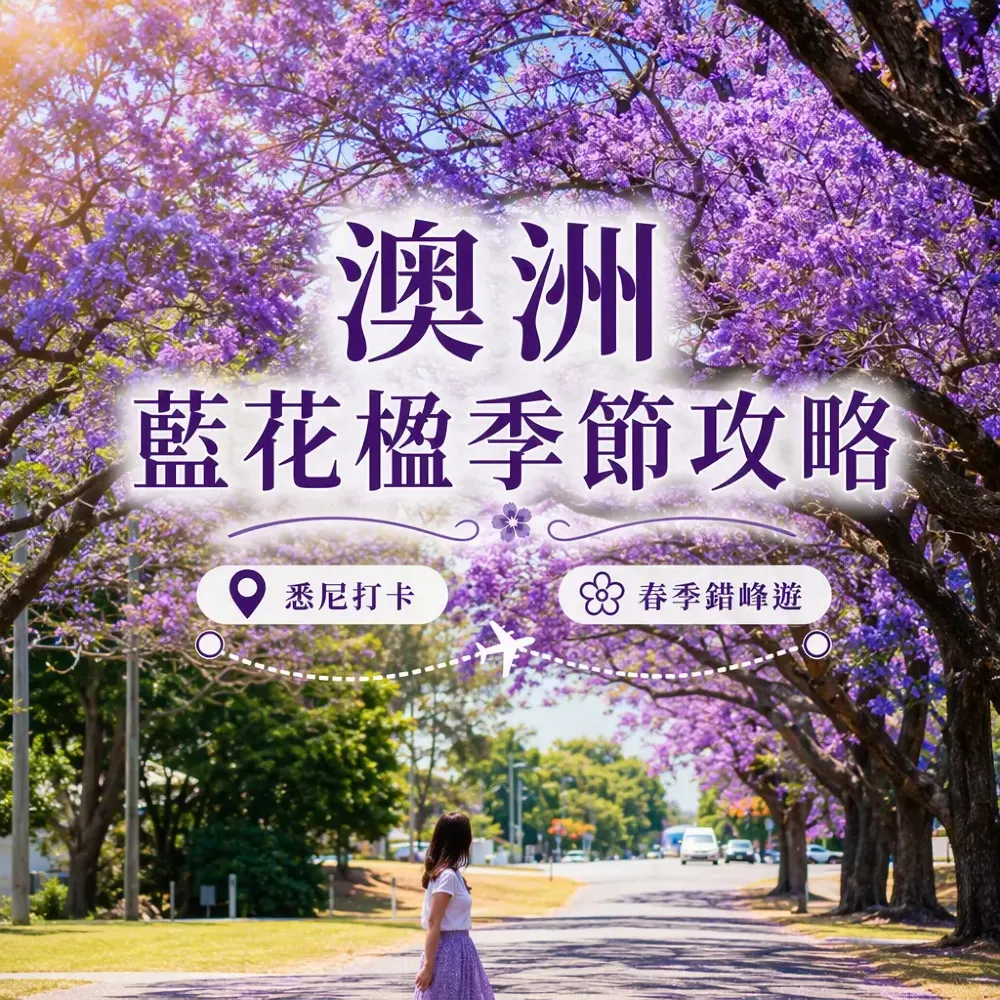 澳洲藍花楹季節攻略｜悉尼墨爾本春季錯峰遊