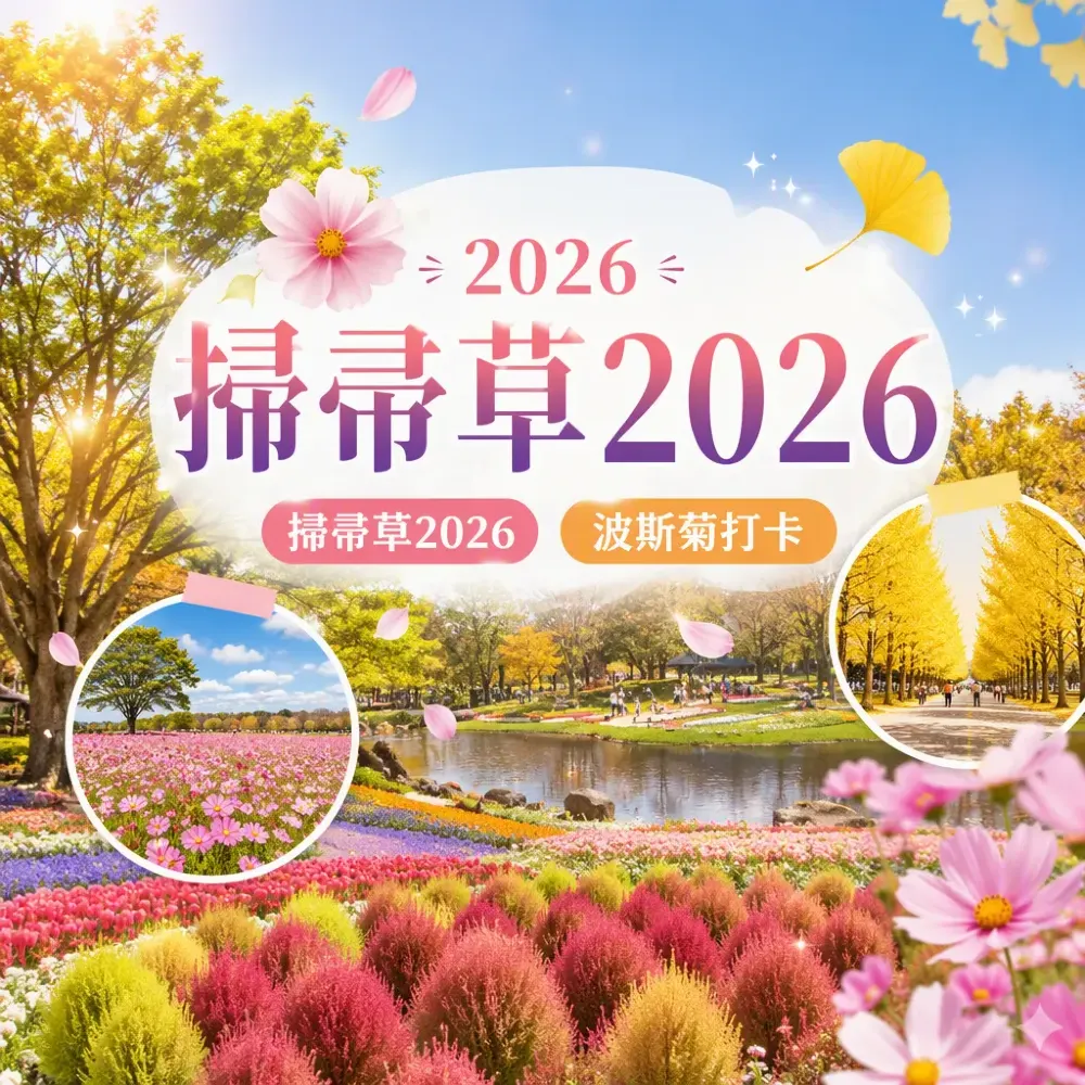 掃帚草2026｜東京昭和記念公園×京都北海道波斯菊銀杏攻略