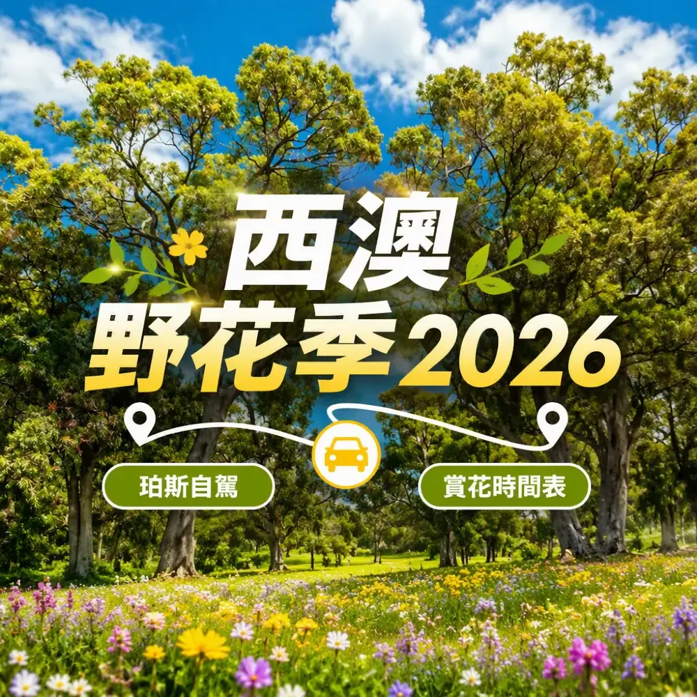西澳野花季2026｜珀斯自駕路線＋賞花時間表