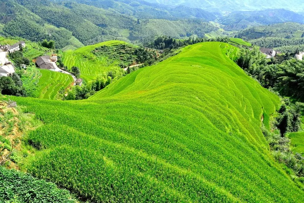 上堡梯田