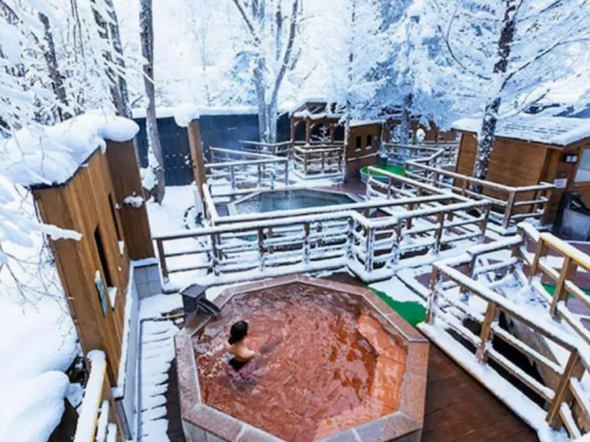 北湯澤 Soraniwa森の空庭酒店