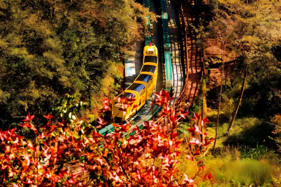 永安旅游