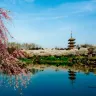 武漢6天團·湘鄂春色(武漢、荊州、岳陽) 西北湖廣場夜櫻、龜山公園櫻花、東湖磨山櫻園、蔡甸油菜花海、仙桃夢裡水鄉、枝江同心花海、黃鶴樓、晴川假日酒店櫻花樹下浪漫下午茶 純玩高鐵團