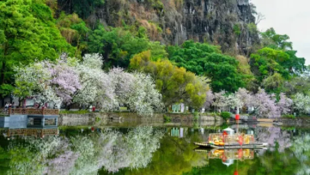 肇慶3天團·七星巖+桃花島 祈福鼎湖山 船遊星湖濕地公園 兩晚連住~肇慶泊隱酒店