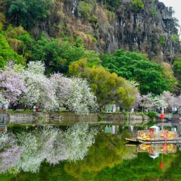 肇慶3天團·七星巖+桃花島 祈福鼎湖山 船遊星湖濕地公園 兩晚連住~肇慶泊隱酒店