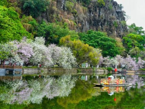 肇慶3天團·七星巖+桃花島 祈福鼎湖山 船遊星湖濕地公園 兩晚連住~肇慶泊隱酒店