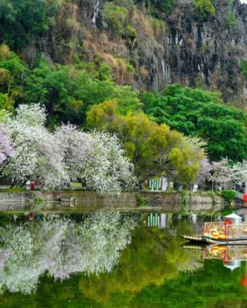 肇慶3天團·七星巖+桃花島 祈福鼎湖山 船遊星湖濕地公園 兩晚連住~肇慶泊隱酒店