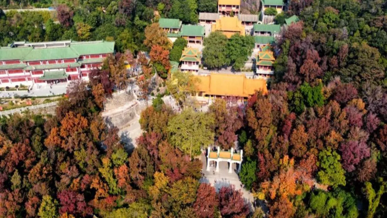 圭峰山風景區賞紅葉