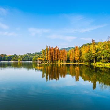 佛山2天團·永安特別安排夜遊「蘇村錦鯉街區」體驗燃放煙花夜  暢遊 廣東四大名山之一「西樵山天湖風景區」