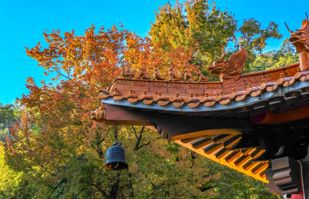 永安旅游