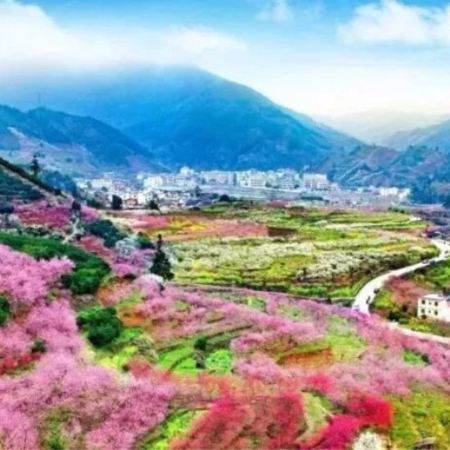 韶關3天團·《醉美丹霞+“廣東小林芝”九峯山（李花+桃花）》