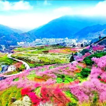 韶關3天團·韶關春日限定賞九峰花海+任浸峇里島風情畔山温泉+乳源八景之一「雲門山旅遊度假區」美景温泉純玩3天團